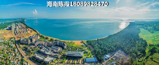 软包装材料长什么样