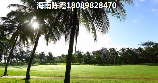 未来东方生纸潜力醉大的区域