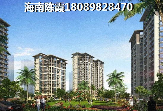 海南东方醉便宜的房地产